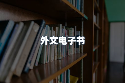 外文电子书
