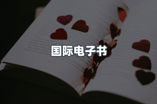 国际电子书